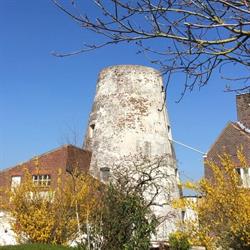 Flietermolen