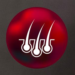 Esthetiek Laser Lochristi