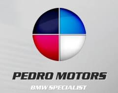 Pedro Motors