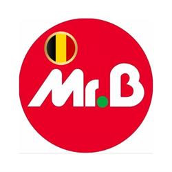 Mr.Bricolage Nivelles