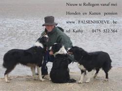 De Falsenhoeve