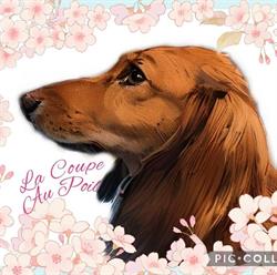 La coupe au poil