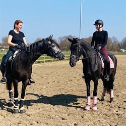 Manege Bruneel