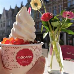 Moochie Frozen Yogurt Leuven