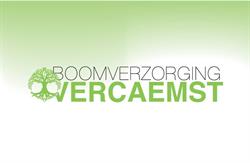 Boomverzorging Vercaemst