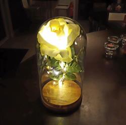 La Rosa Bianca