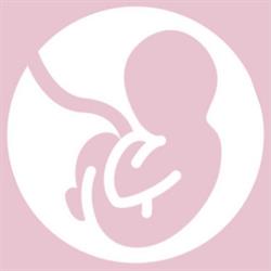 3D-baby-echo