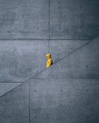 ABM ARCHITECTES