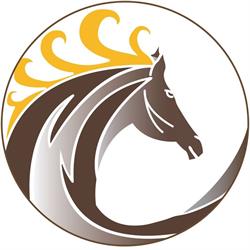 Equisymbiose