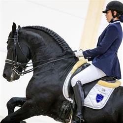 Royal Horses