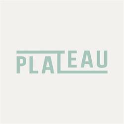Plateau Space