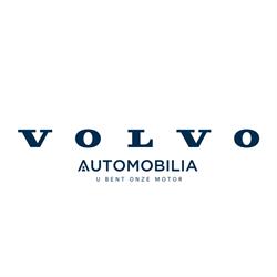 Automobilia Trucks