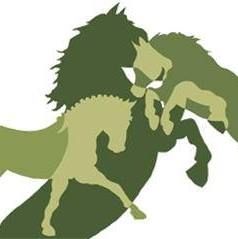 Manege Allius