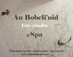 Au Bobeli'nid - Gîte citadin au coeur de SPA