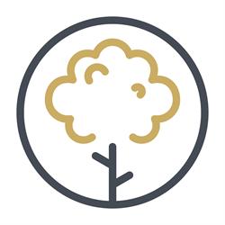 Arborum Boombeheer