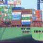 MS Import & Export
