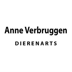 Anne Verbruggen - Dierenarts