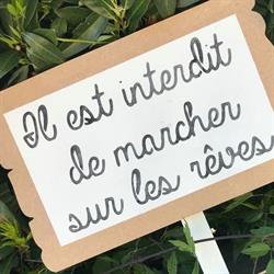 Les petits plaisirs d’Annibricot