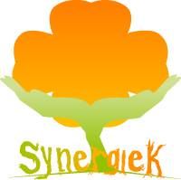 SynergieK