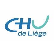 Chu van Luik