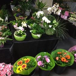 Dier en Tuin Goessens - D'Haese
