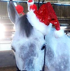 Haras des Estinnes Asbl