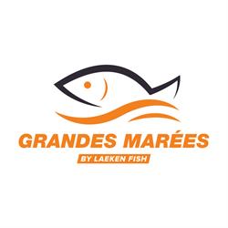 Grandes Marées