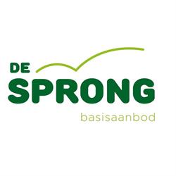 De Sprong