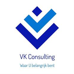 VK Consulting