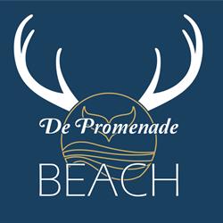 De Promenade Beach