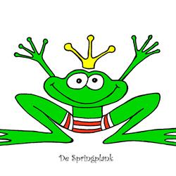 Sint-Catharinacollege - De Springplank
