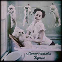 Hondentrimsalon Caprice