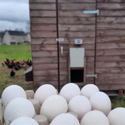 Herlinckhof