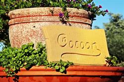 Cnocoon