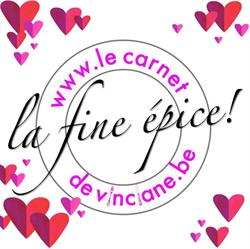 Le carnet de VInciane