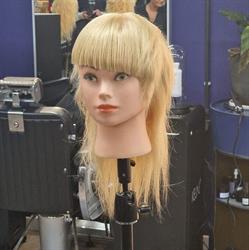 Hair Reborn