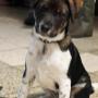 # 129