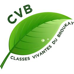 Classes Vivantes du Broukay