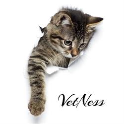 VetNess