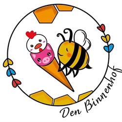 Den Binnenhof