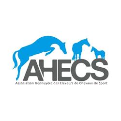 Ahecs - Association Hennuyère des Eleveurs de Chevaux de Sport