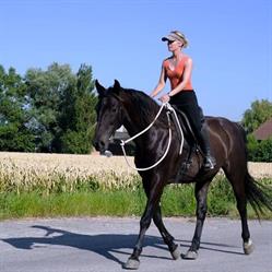Cindy Deman Horsemanship