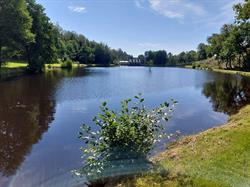 Le lac de Bellemeuse bistrot restaurant