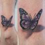 papillon realiste couleur