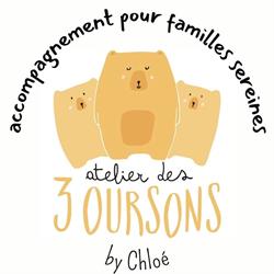 Workshop 3 Oursons