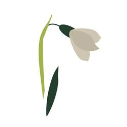 Bloemen Davina