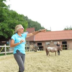 Coaching met en door paarden