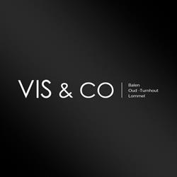 Vis & Co