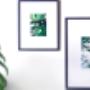 Vitro frame 20x20
