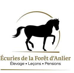 Ecuries de la forêt d'Anlier